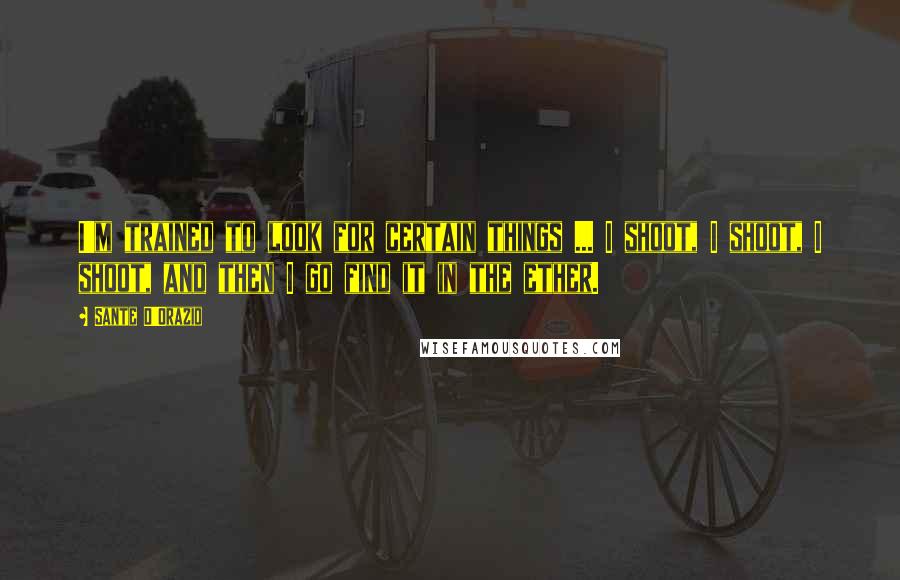 Sante D'Orazio Quotes: I'm trained to look for certain things ... I shoot, I shoot, I shoot, and then I go find it in the ether.