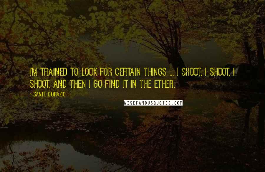 Sante D'Orazio Quotes: I'm trained to look for certain things ... I shoot, I shoot, I shoot, and then I go find it in the ether.