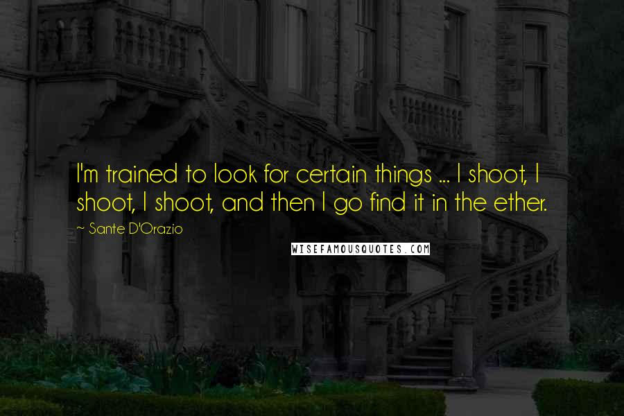 Sante D'Orazio Quotes: I'm trained to look for certain things ... I shoot, I shoot, I shoot, and then I go find it in the ether.