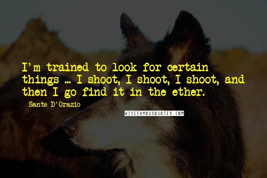 Sante D'Orazio Quotes: I'm trained to look for certain things ... I shoot, I shoot, I shoot, and then I go find it in the ether.