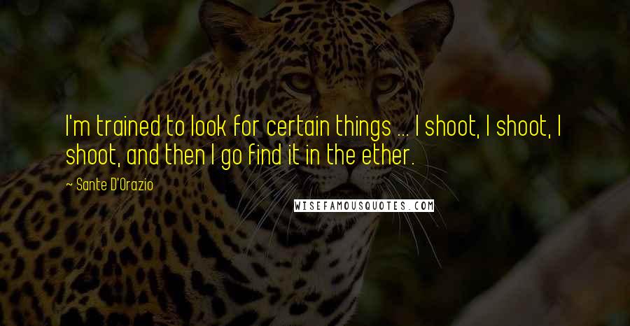 Sante D'Orazio Quotes: I'm trained to look for certain things ... I shoot, I shoot, I shoot, and then I go find it in the ether.