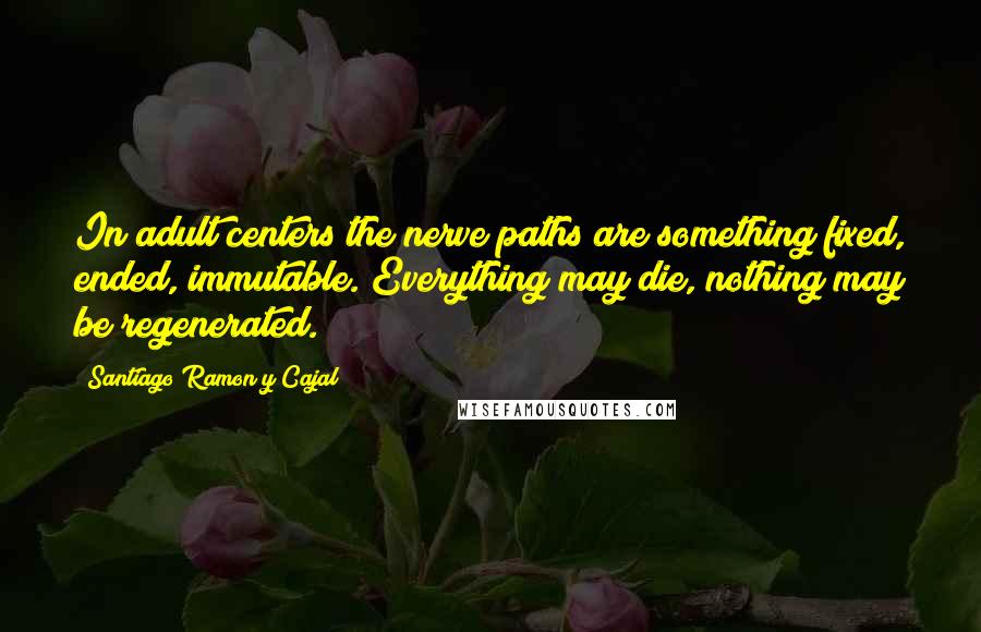 Santiago Ramon Y Cajal Quotes: In adult centers the nerve paths are something fixed, ended, immutable. Everything may die, nothing may be regenerated.