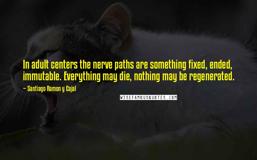 Santiago Ramon Y Cajal Quotes: In adult centers the nerve paths are something fixed, ended, immutable. Everything may die, nothing may be regenerated.
