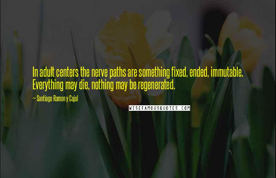 Santiago Ramon Y Cajal Quotes: In adult centers the nerve paths are something fixed, ended, immutable. Everything may die, nothing may be regenerated.
