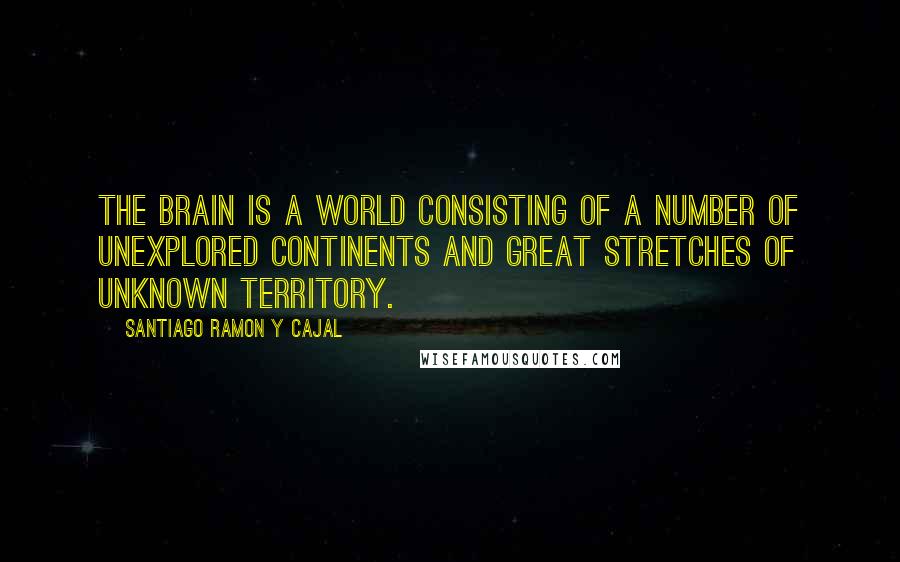 Santiago Ramon Y Cajal Quotes: The brain is a world consisting of a number of unexplored continents and great stretches of unknown territory.