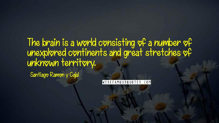 Santiago Ramon Y Cajal Quotes: The brain is a world consisting of a number of unexplored continents and great stretches of unknown territory.