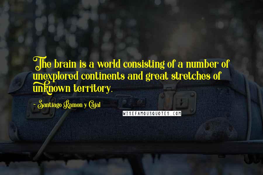 Santiago Ramon Y Cajal Quotes: The brain is a world consisting of a number of unexplored continents and great stretches of unknown territory.