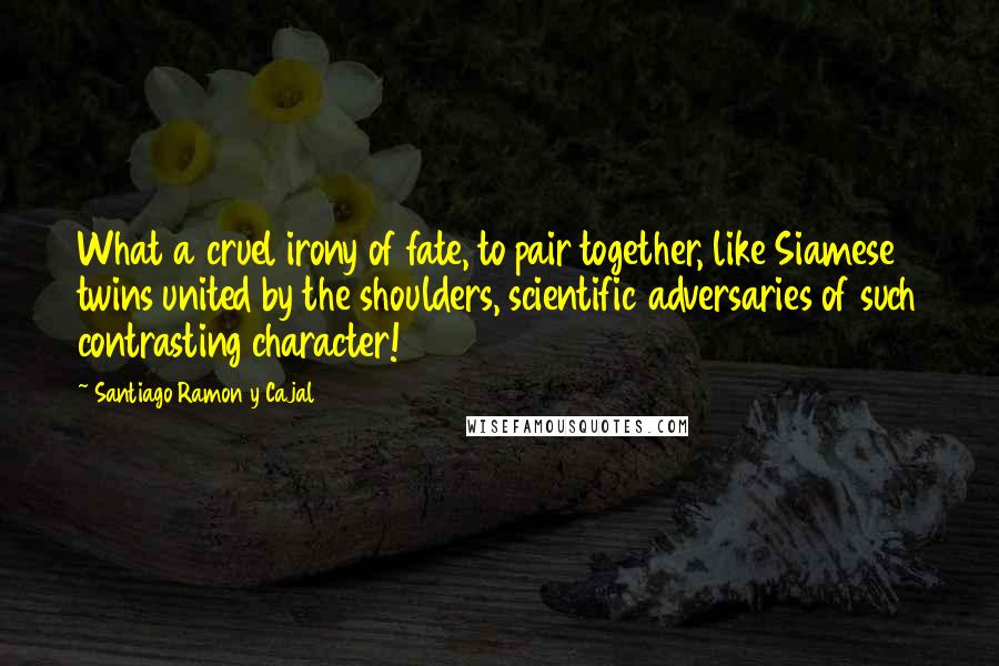 Santiago Ramon Y Cajal Quotes: What a cruel irony of fate, to pair together, like Siamese twins united by the shoulders, scientific adversaries of such contrasting character!