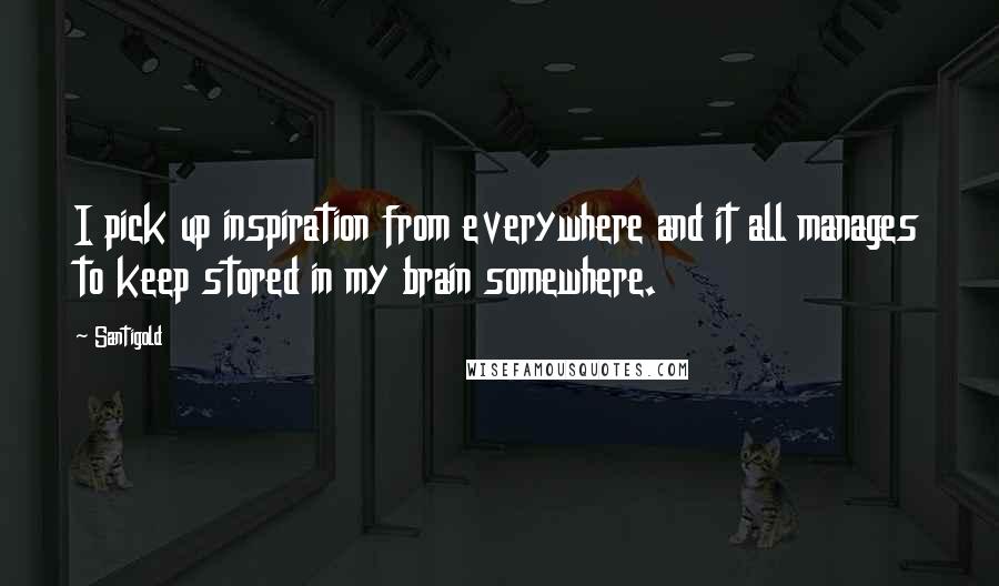 Santigold Quotes: I pick up inspiration from everywhere and it all manages to keep stored in my brain somewhere.