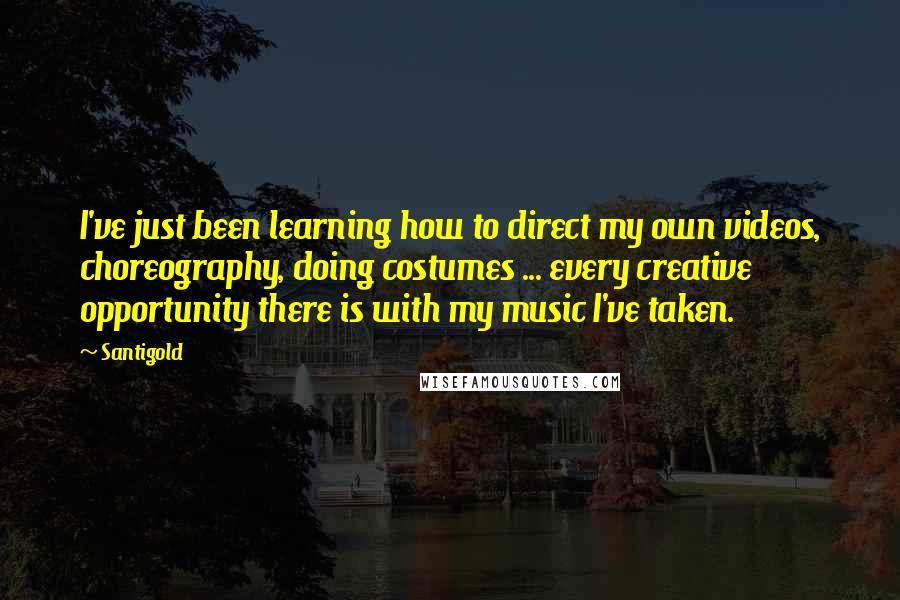 Santigold Quotes: I've just been learning how to direct my own videos, choreography, doing costumes ... every creative opportunity there is with my music I've taken.