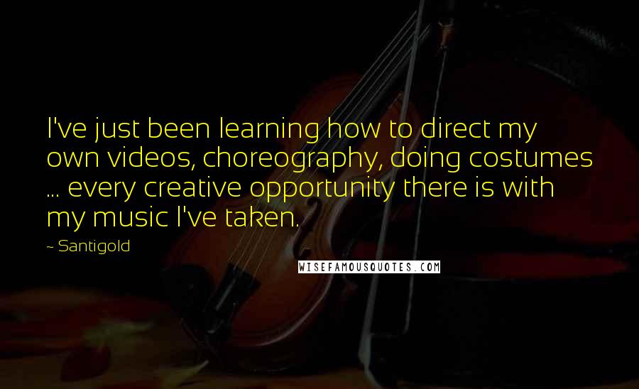 Santigold Quotes: I've just been learning how to direct my own videos, choreography, doing costumes ... every creative opportunity there is with my music I've taken.