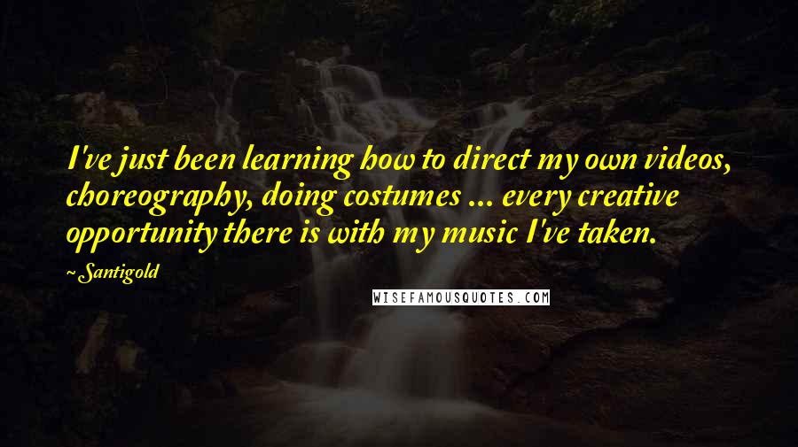 Santigold Quotes: I've just been learning how to direct my own videos, choreography, doing costumes ... every creative opportunity there is with my music I've taken.