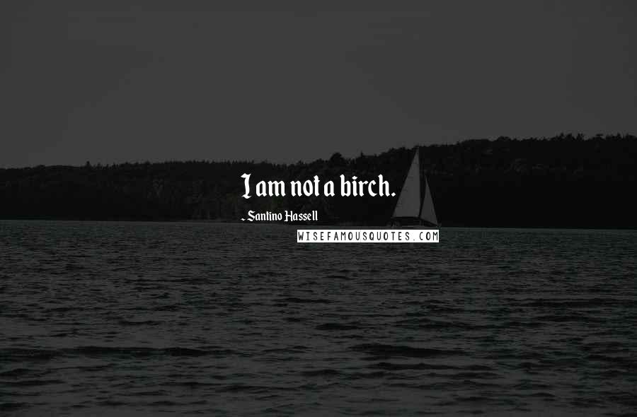 Santino Hassell Quotes: I am not a birch.