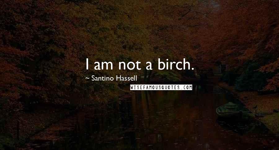 Santino Hassell Quotes: I am not a birch.