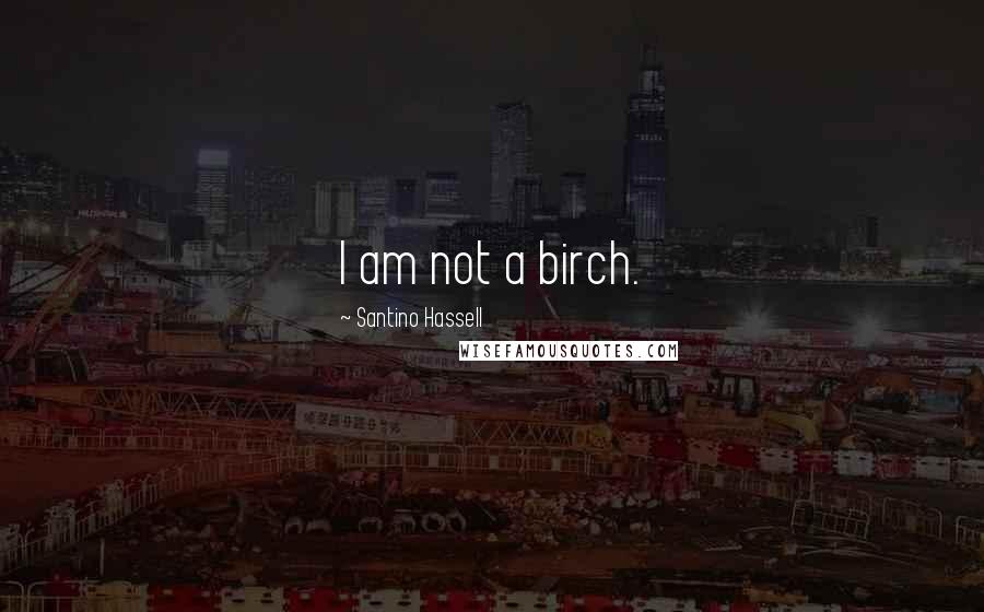 Santino Hassell Quotes: I am not a birch.