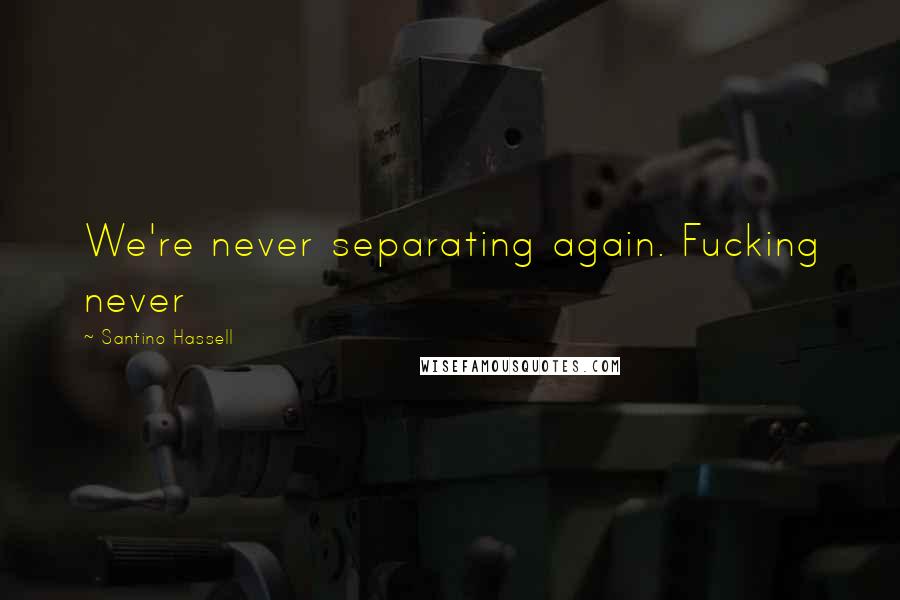 Santino Hassell Quotes: We're never separating again. Fucking never