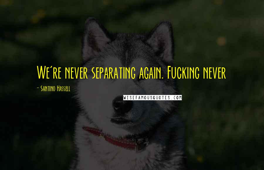 Santino Hassell Quotes: We're never separating again. Fucking never