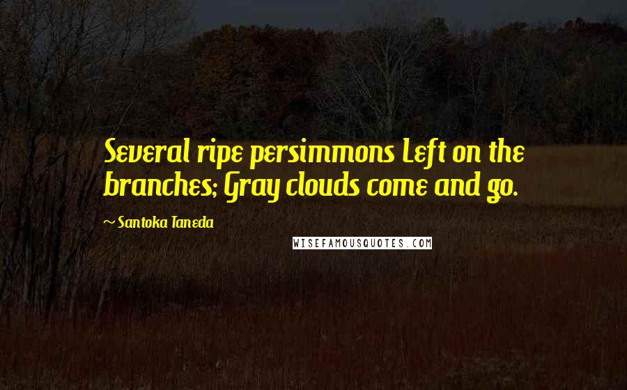 Santoka Taneda Quotes: Several ripe persimmons Left on the branches; Gray clouds come and go.