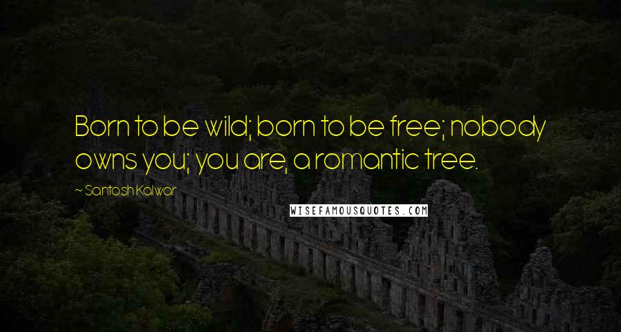 Santosh Kalwar Quotes: Born to be wild; born to be free; nobody owns you; you are, a romantic tree.