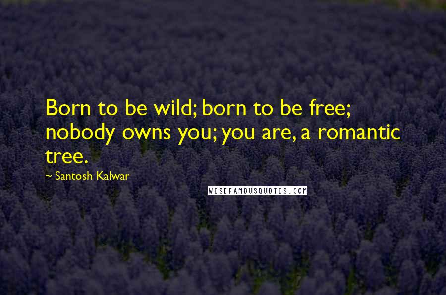 Santosh Kalwar Quotes: Born to be wild; born to be free; nobody owns you; you are, a romantic tree.