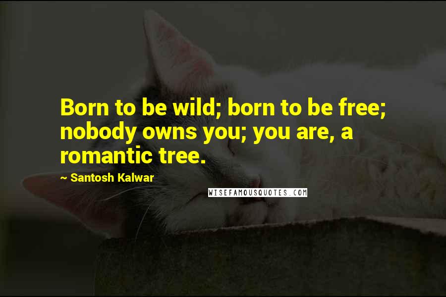 Santosh Kalwar Quotes: Born to be wild; born to be free; nobody owns you; you are, a romantic tree.