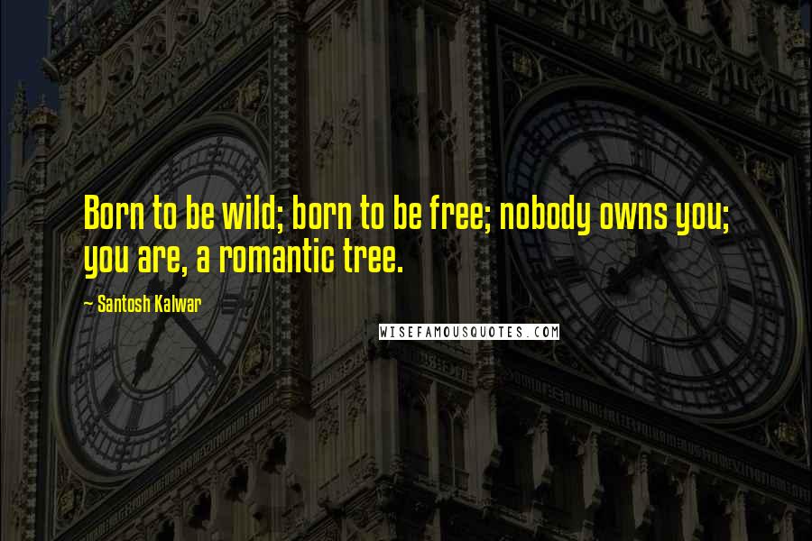 Santosh Kalwar Quotes: Born to be wild; born to be free; nobody owns you; you are, a romantic tree.