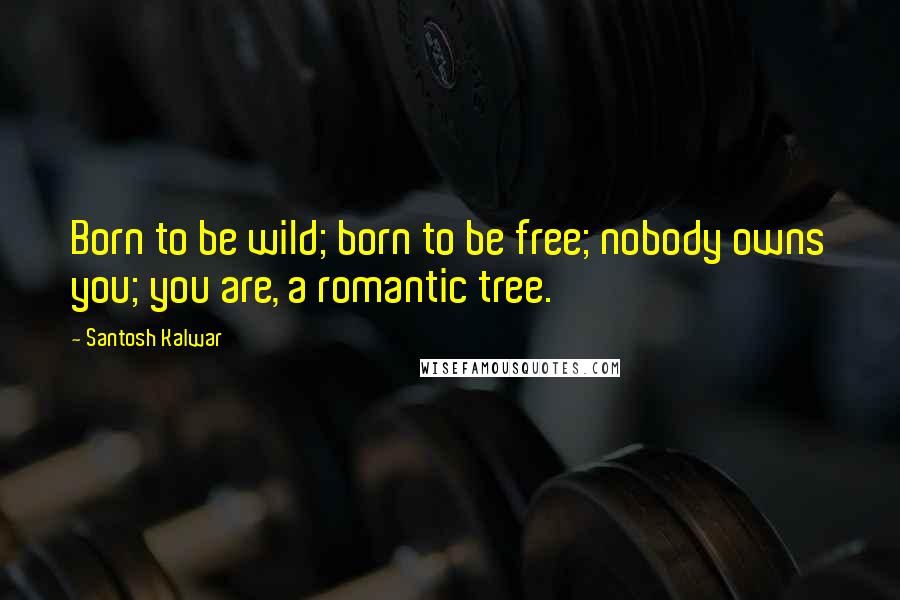 Santosh Kalwar Quotes: Born to be wild; born to be free; nobody owns you; you are, a romantic tree.
