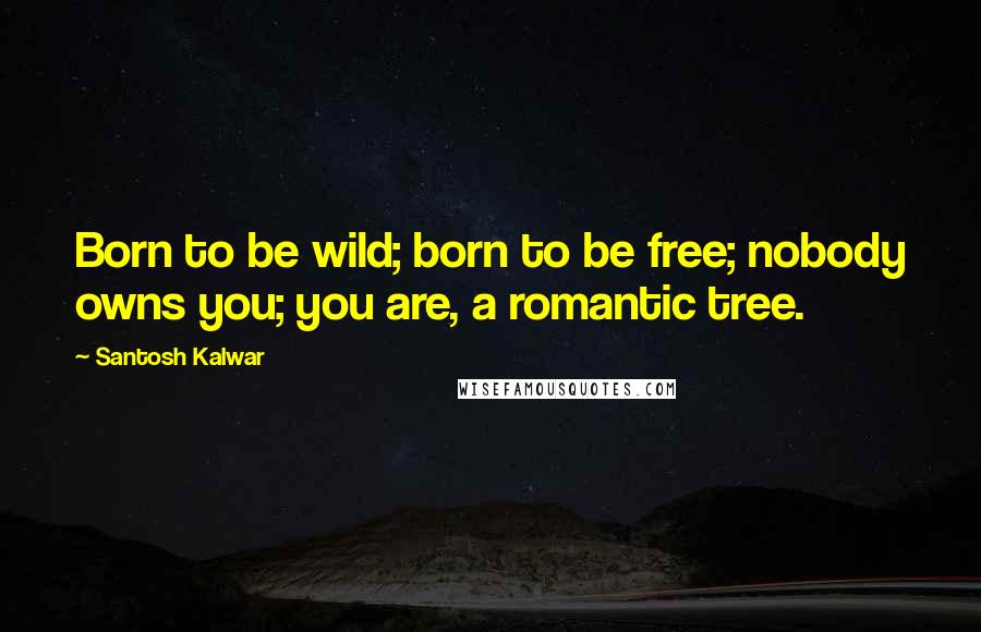 Santosh Kalwar Quotes: Born to be wild; born to be free; nobody owns you; you are, a romantic tree.