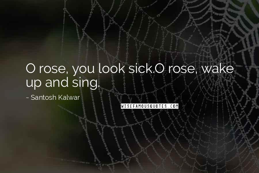 Santosh Kalwar Quotes: O rose, you look sick.O rose, wake up and sing.