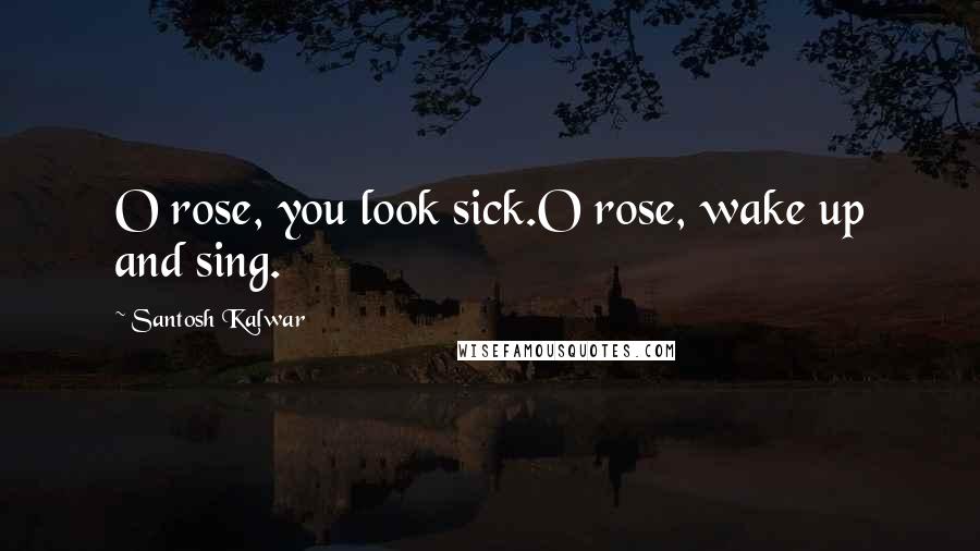 Santosh Kalwar Quotes: O rose, you look sick.O rose, wake up and sing.