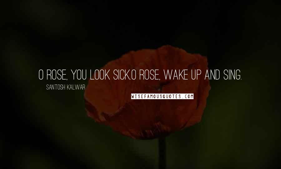 Santosh Kalwar Quotes: O rose, you look sick.O rose, wake up and sing.