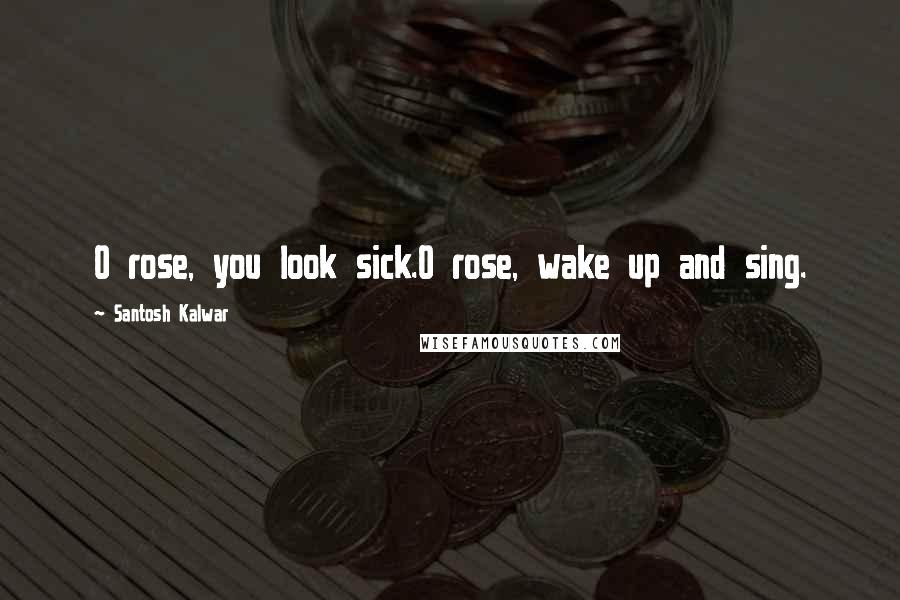 Santosh Kalwar Quotes: O rose, you look sick.O rose, wake up and sing.