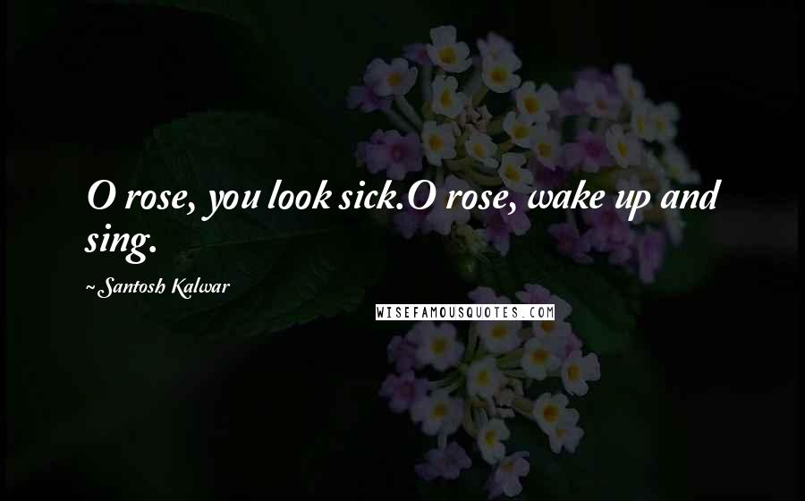 Santosh Kalwar Quotes: O rose, you look sick.O rose, wake up and sing.
