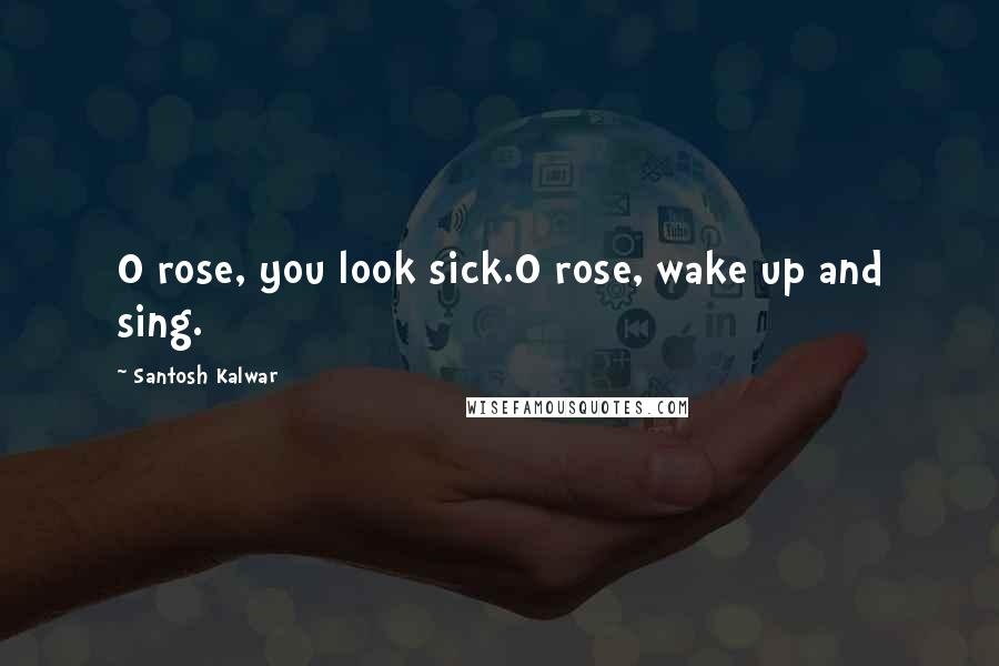 Santosh Kalwar Quotes: O rose, you look sick.O rose, wake up and sing.