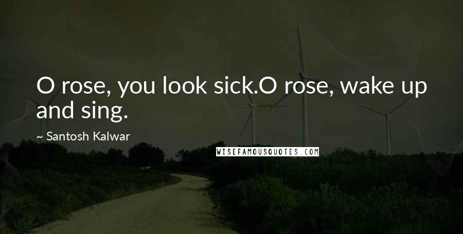 Santosh Kalwar Quotes: O rose, you look sick.O rose, wake up and sing.