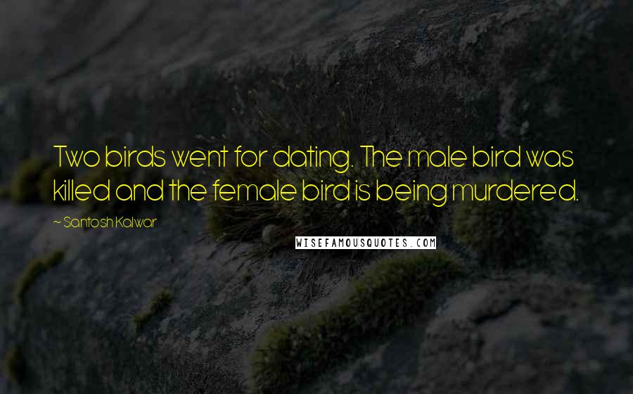 Santosh Kalwar Quotes: Two birds went for dating. The male bird was killed and the female bird is being murdered.