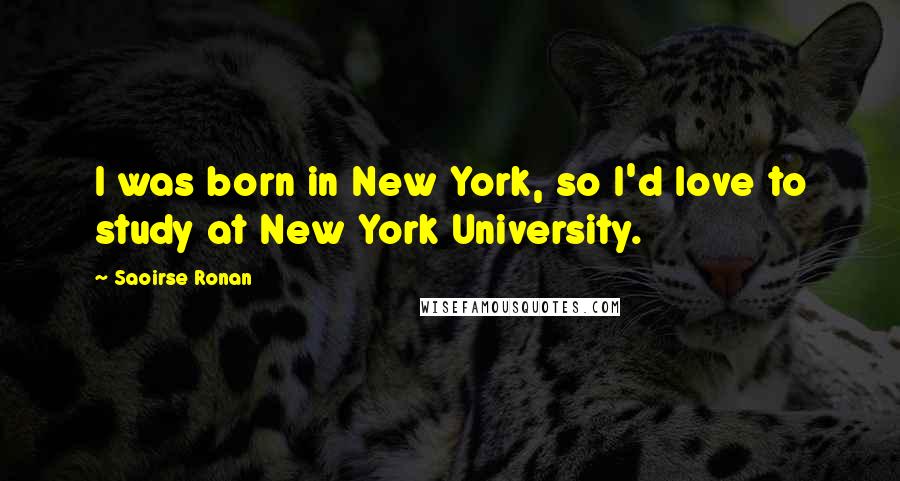 Saoirse Ronan Quotes: I was born in New York, so I'd love to study at New York University.