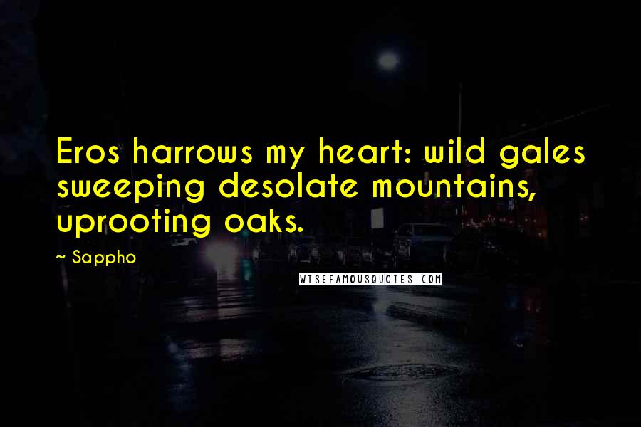 Sappho Quotes: Eros harrows my heart: wild gales sweeping desolate mountains, uprooting oaks.