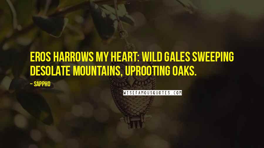 Sappho Quotes: Eros harrows my heart: wild gales sweeping desolate mountains, uprooting oaks.