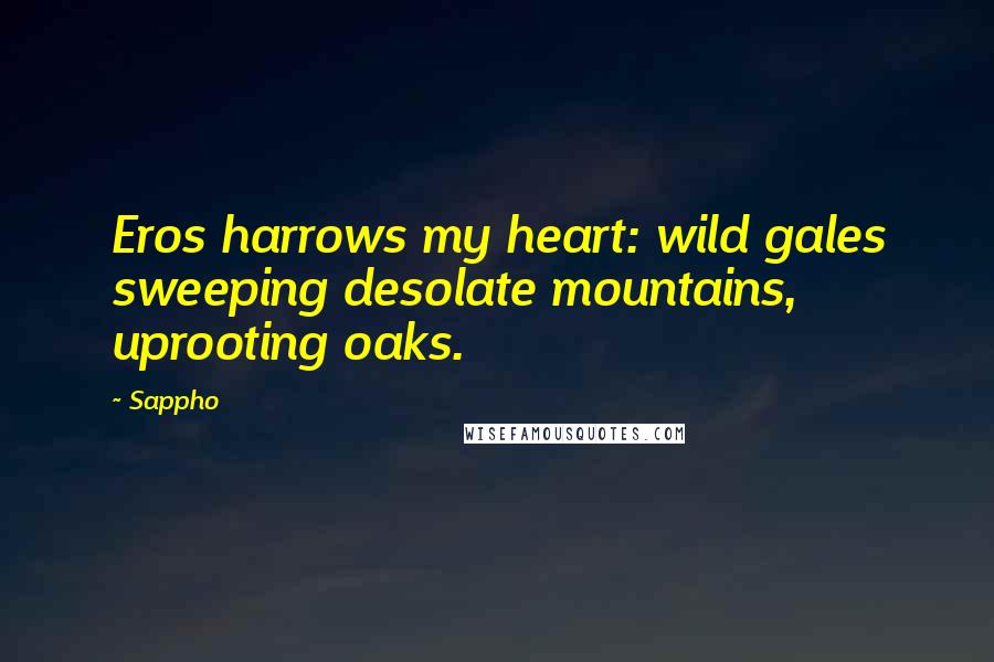 Sappho Quotes: Eros harrows my heart: wild gales sweeping desolate mountains, uprooting oaks.