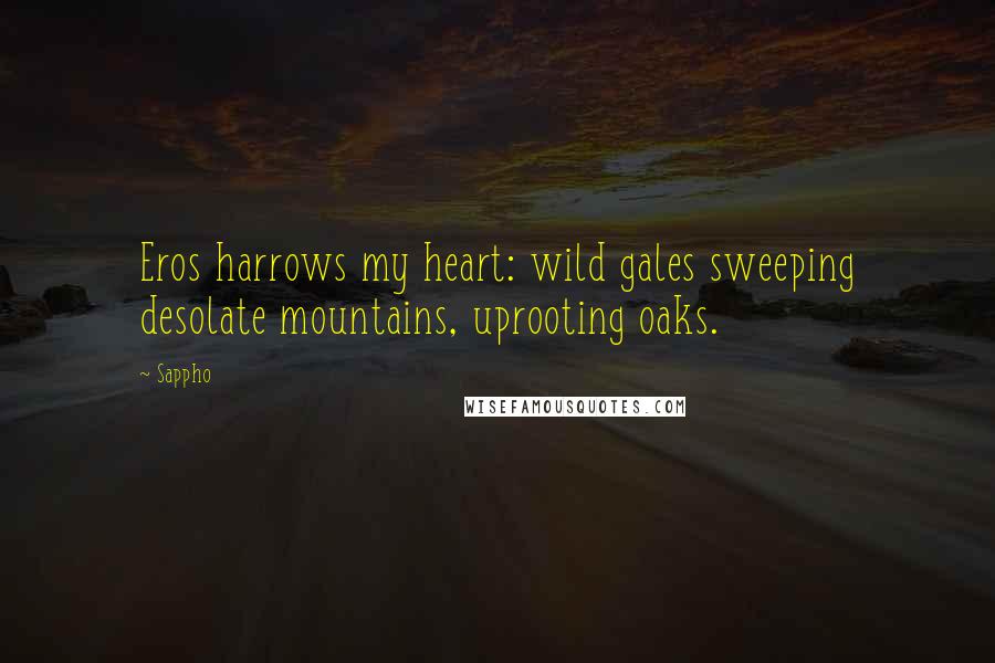 Sappho Quotes: Eros harrows my heart: wild gales sweeping desolate mountains, uprooting oaks.