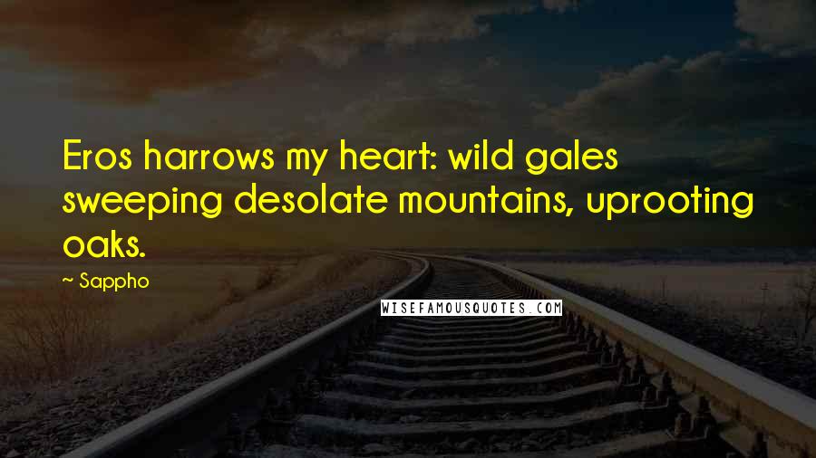 Sappho Quotes: Eros harrows my heart: wild gales sweeping desolate mountains, uprooting oaks.