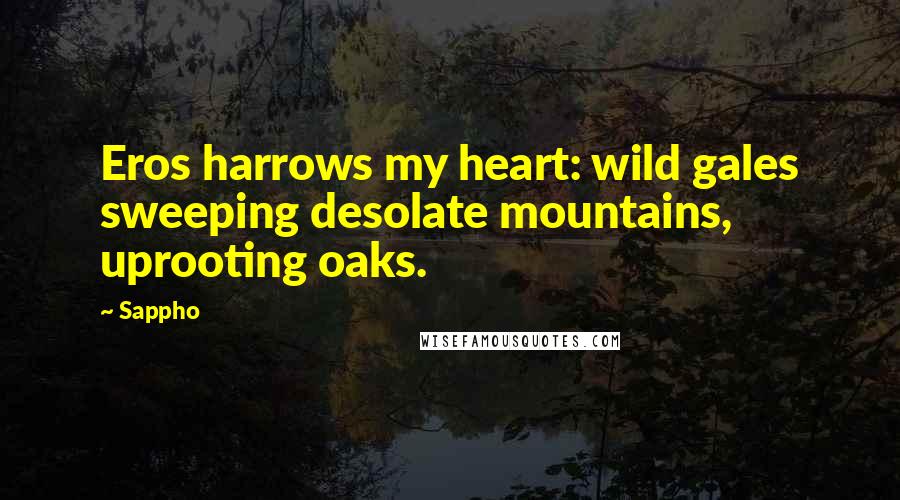 Sappho Quotes: Eros harrows my heart: wild gales sweeping desolate mountains, uprooting oaks.