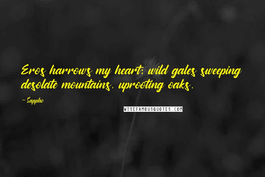 Sappho Quotes: Eros harrows my heart: wild gales sweeping desolate mountains, uprooting oaks.