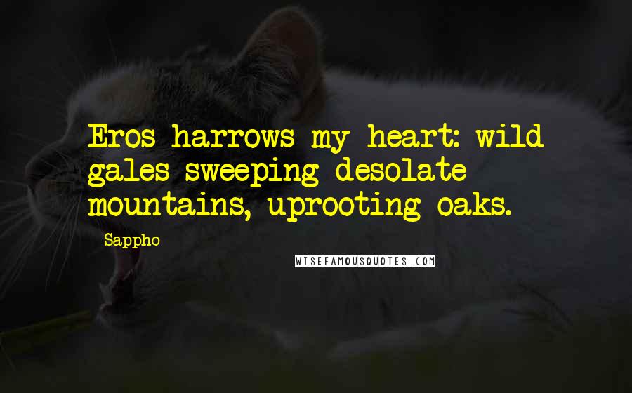 Sappho Quotes: Eros harrows my heart: wild gales sweeping desolate mountains, uprooting oaks.