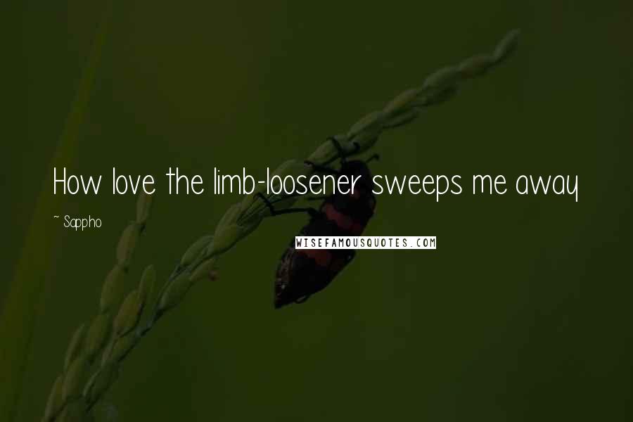 Sappho Quotes: How love the limb-loosener sweeps me away