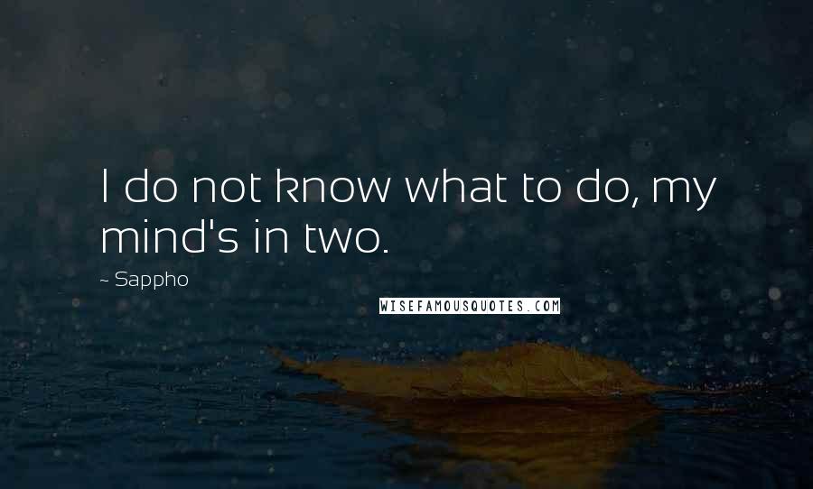 Sappho Quotes: I do not know what to do, my mind's in two.