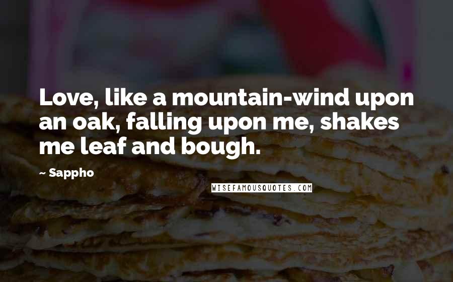 Sappho Quotes: Love, like a mountain-wind upon an oak, falling upon me, shakes me leaf and bough.