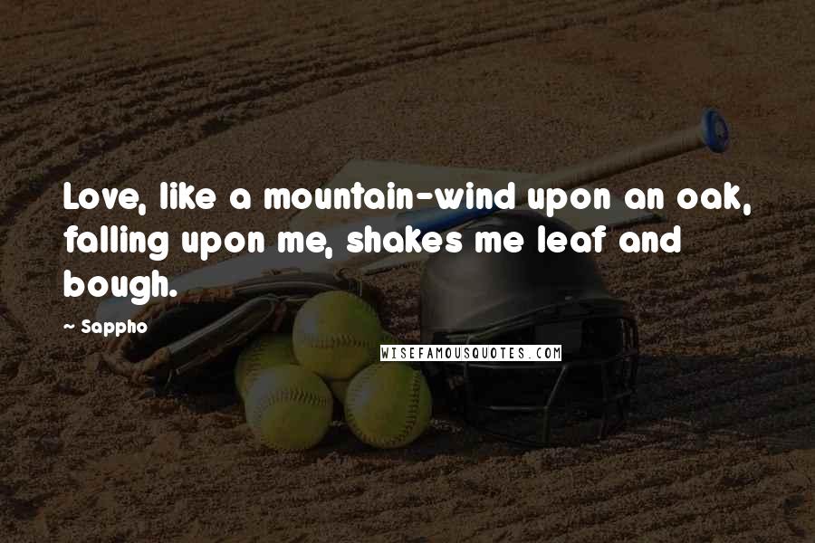 Sappho Quotes: Love, like a mountain-wind upon an oak, falling upon me, shakes me leaf and bough.
