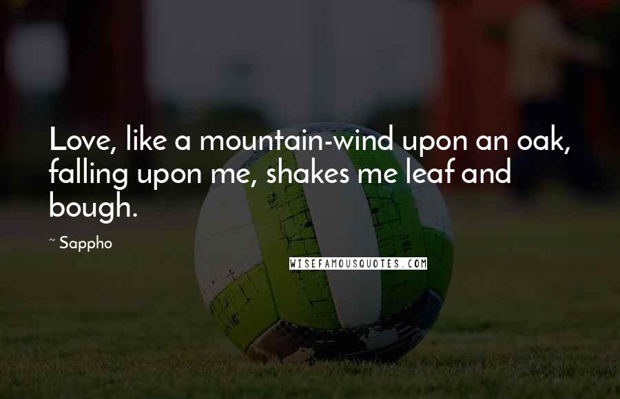 Sappho Quotes: Love, like a mountain-wind upon an oak, falling upon me, shakes me leaf and bough.